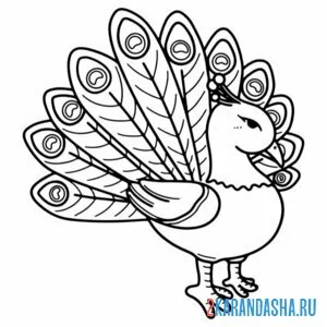 Раскраска птичка павлин