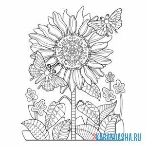 Раскраска бабочки на подсолнухе