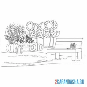 Раскраска подсолнухи и лавочка