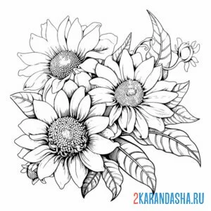 Раскраска красивые подсолнухи