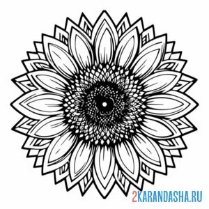 Раскраска цветочек подсолнух