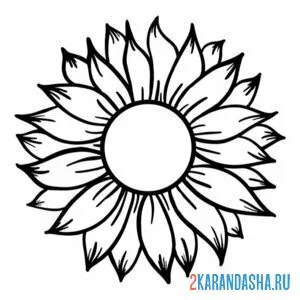 Раскраска подсолнух без семечек