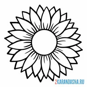 Раскраска подсолнух для срисовки