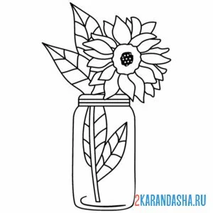 Раскраска подсолнух в банке