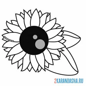 Раскраска подсолнух и листочки