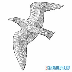 Раскраска антистресс чайка