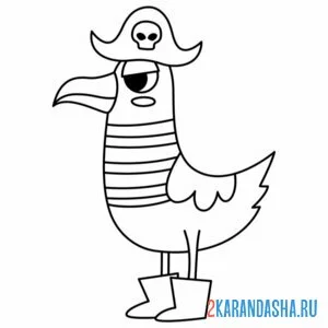 Раскраска чайка пират