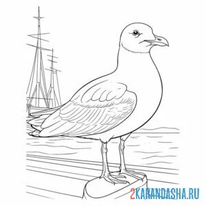 Раскраска чайка на корабле