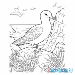 Раскраска чайка в скале