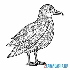 Раскраска антистресс птица чайка