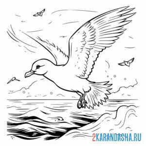 Раскраска чайка и море