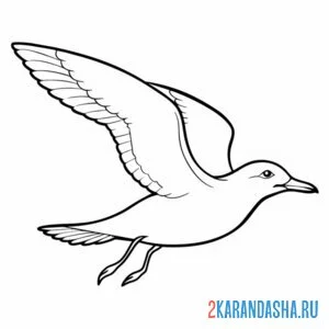 Раскраска чайка летит