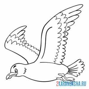 Раскраска чайка полет