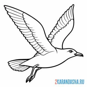 Раскраска летящая чайка