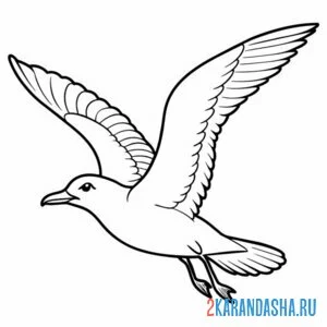 Раскраска чайка в небе