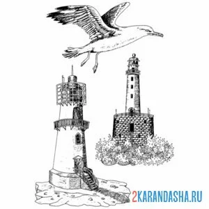 Раскраска чайка и маяк