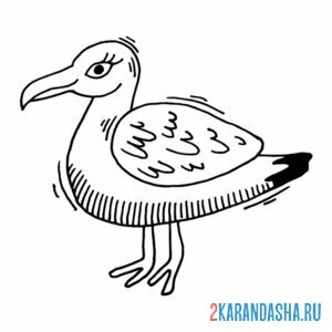 Раскраска чайка отряхивается