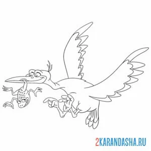 Раскраска чайка и лягушка