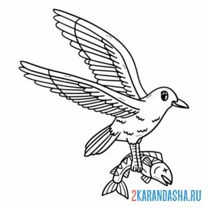Раскраска чайка и рыбка