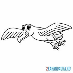 Раскраска альбатрос летит