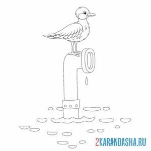 Раскраска чайка и подводная лодка