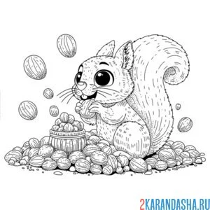 Раскраска белка радостная и орешки