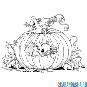 Раскраска мышки и тыква на хэллоуин