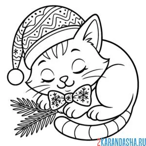 Раскраска котик в новогодней шапке спит