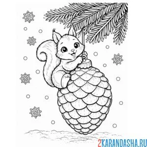 Раскраска белочка на шишке