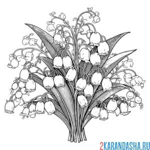 Раскраска ландыши букетик
