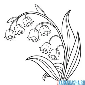 Раскраска ландыши миленькие