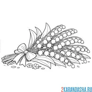 Раскраска ландыши лежат