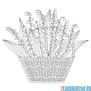 Раскраска ландыши в большой корзине
