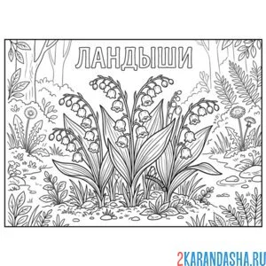 Раскраска ландыши в лесу