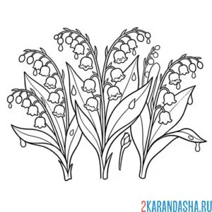 Раскраска несколько цветочков ландыши