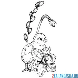 Раскраска цыпленок и верба