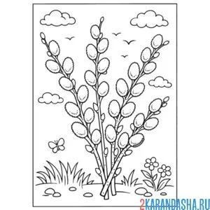 Раскраска верба веточка