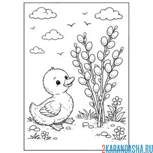 Раскраска утенок и верба