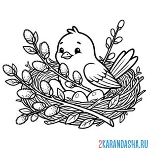 Раскраска птичка в гнезде с вербой