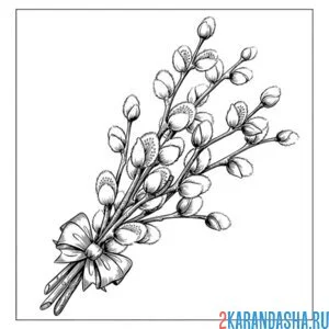 Раскраска верба с бантиком