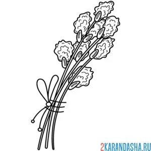 Раскраска верба маленький букетик