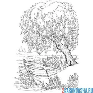 Раскраска парк с деревом верба