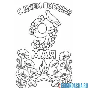 Раскраска с днем победы 9 мая голубь мира