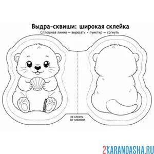 Раскраска сквиши выдра