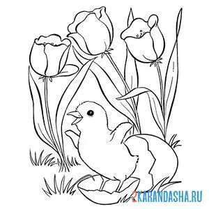 Распечатать раскраску тюльпаны весенние цветы и птенец на А4