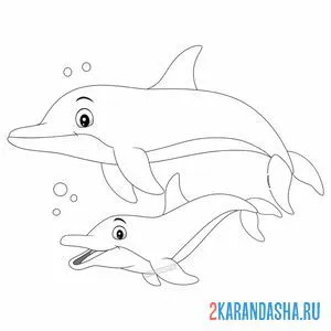 Раскраска мама и дельфиненок онлайн