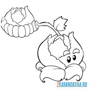 Раскраска капустопульта