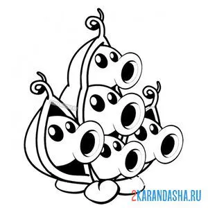 Раскраска стручок гороха