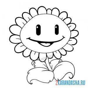 Раскраска подсолнух