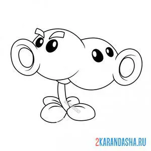 Раскраска сиамский горхострел